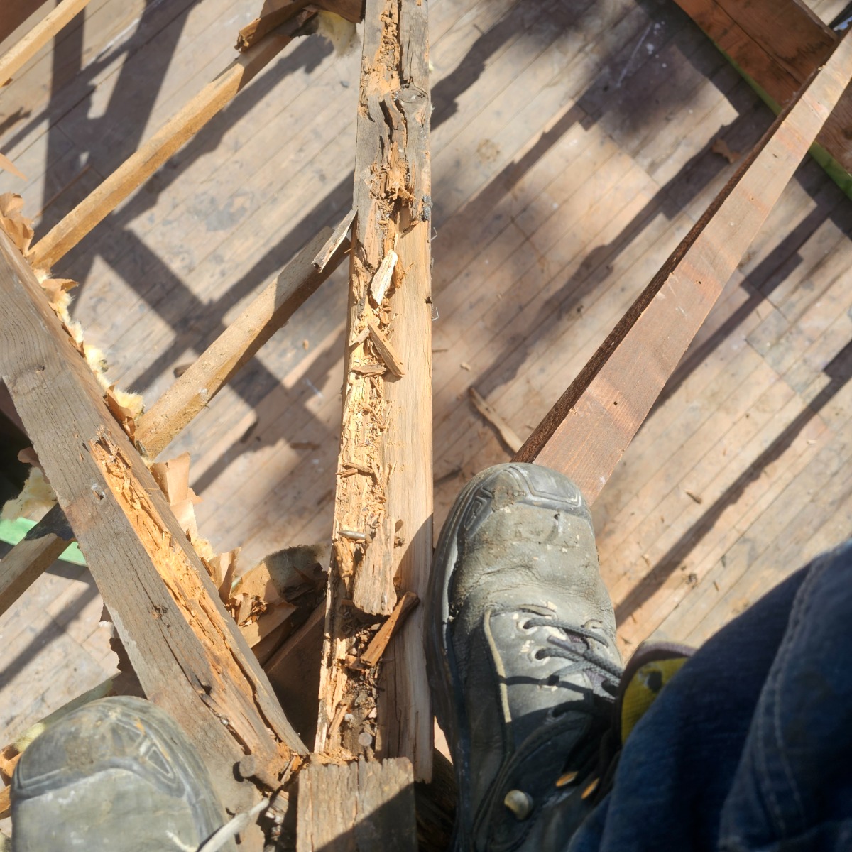 Duurzame dakrenovatie: Complete vernieuwing van dakconstructie en isolatie project afbeelding 8 van 9 door Spls construct