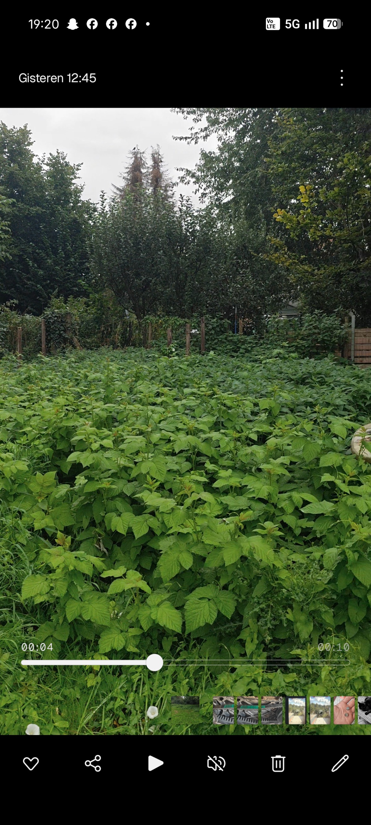 Tuin reset - Tuinonderhoud, tuin, renovatie project afbeelding 4 van 7 door RD tuinwerken