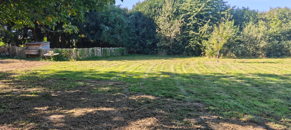 Tuin reset - Tuinonderhoud, tuin, renovatie project afbeelding 6 van 7 door RD tuinwerken