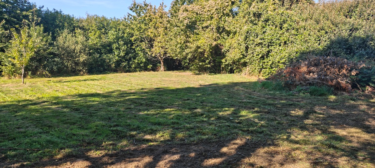 Tuin reset - Tuinonderhoud, tuin, renovatie project afbeelding 7 van 7 door RD tuinwerken