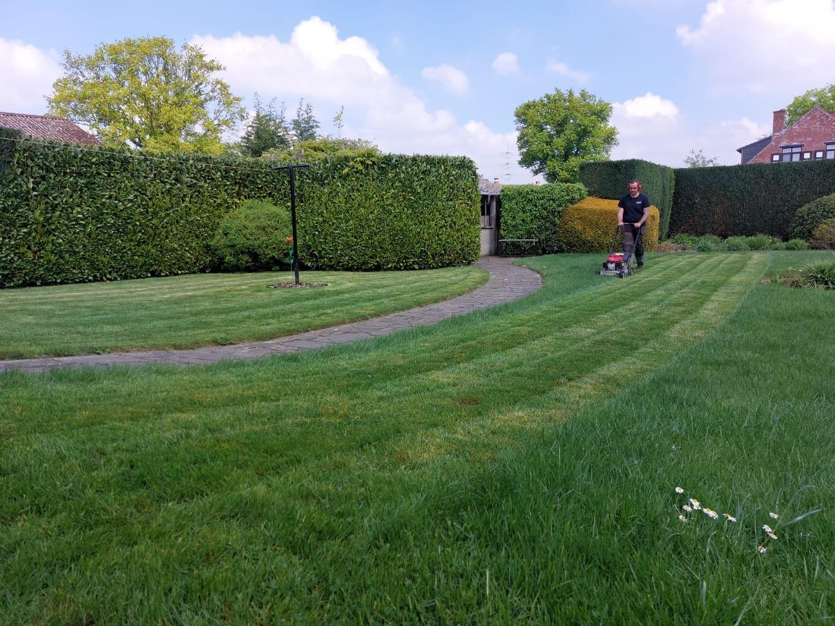 Tuinonderhoud in Lichtaart – realisatie van Hortus Worckx
