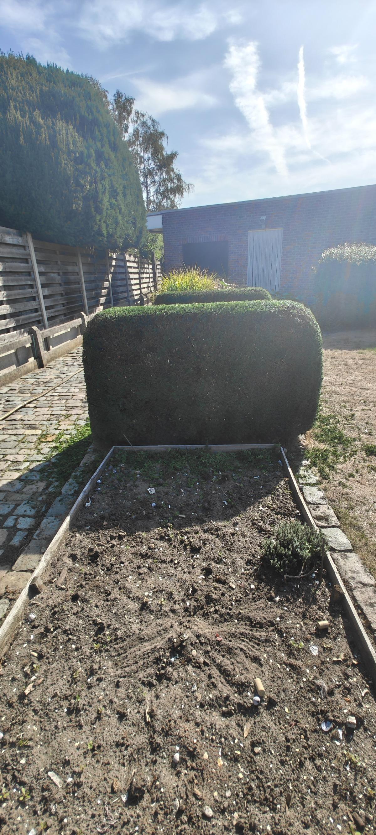 Tuin reset in Leuven – realisatie van RD tuinwerken