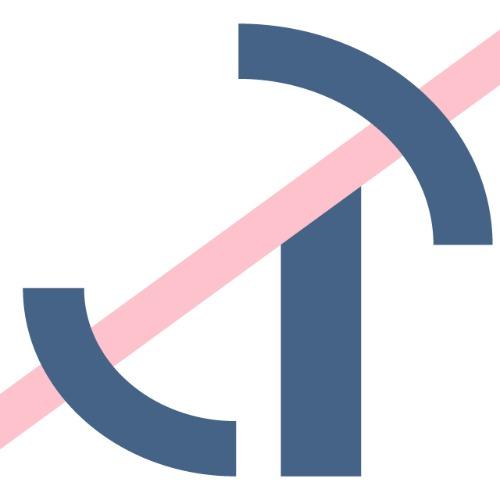 Beirens Technics logo