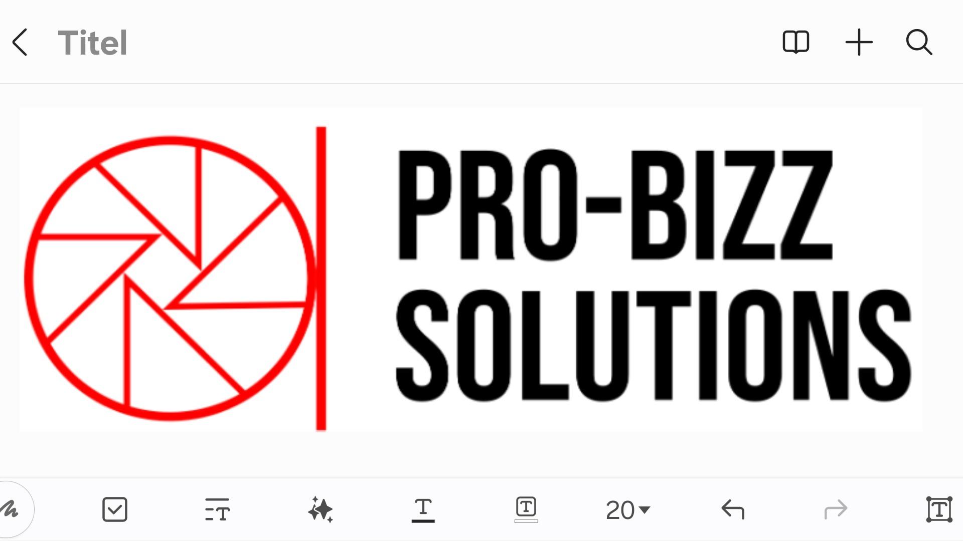 Pro-Bizz Solutions BV cover