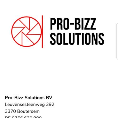 Pro-Bizz Solutions BV
