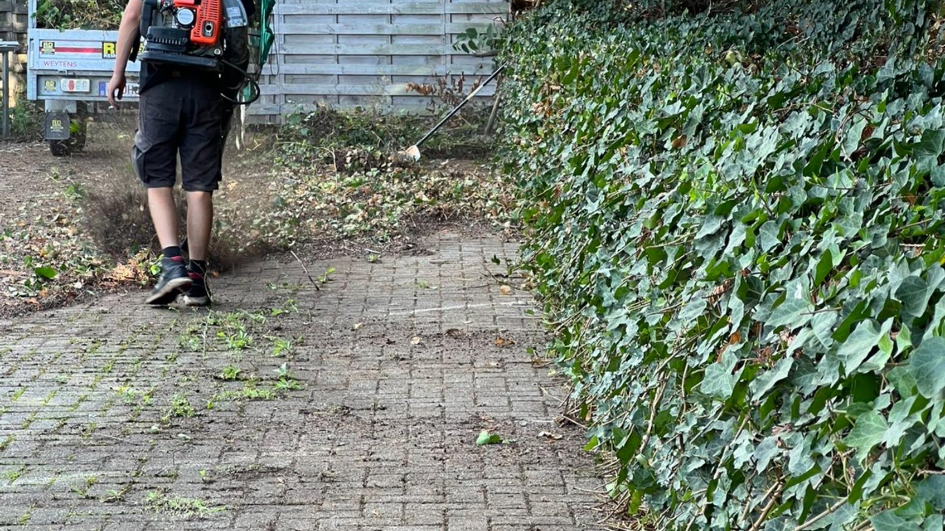 RD tuinwerken - Cover afbeelding