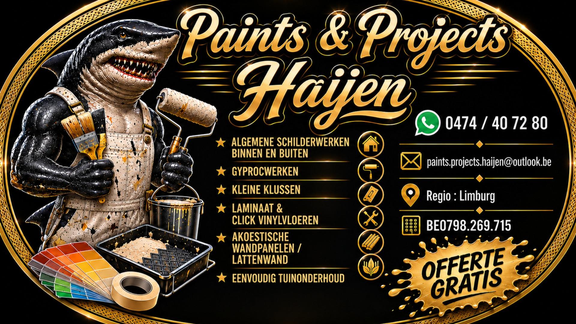 Paint & Projects Haijen cover