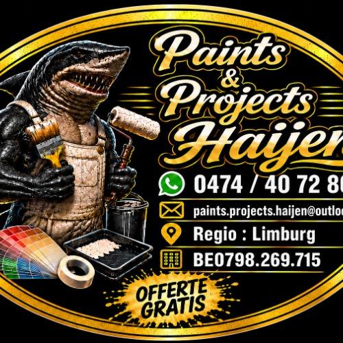 Paint & Projects Haijen
